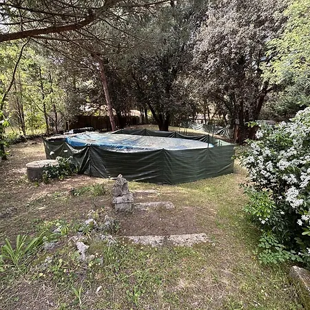 Charmante Maison Proche - 6 Pers. - Fr-1-246a-394 Saint-Trojan-les-Bains